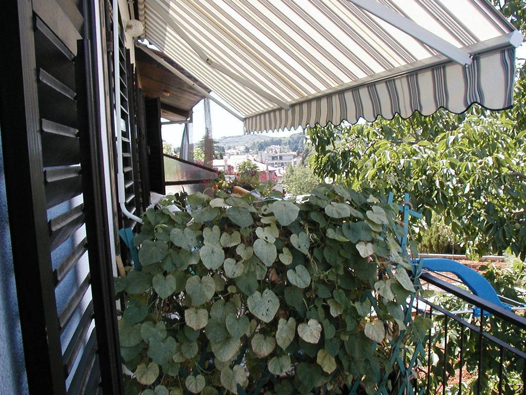 Apartman Iva Rovinj